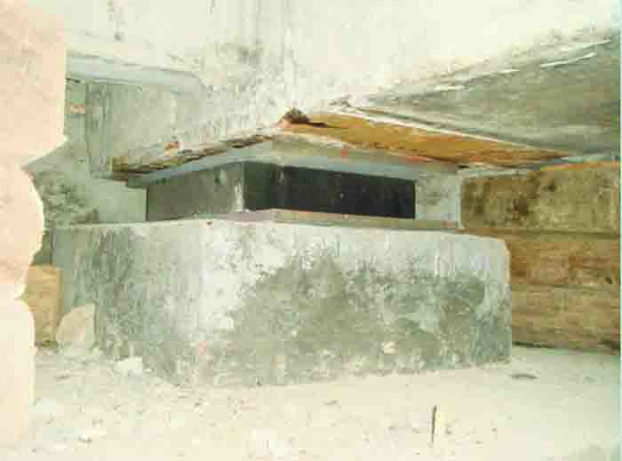 019.jpg 019.jpg